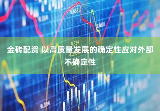 金砖配资 以高质量发展的确定性应对外部不确定性