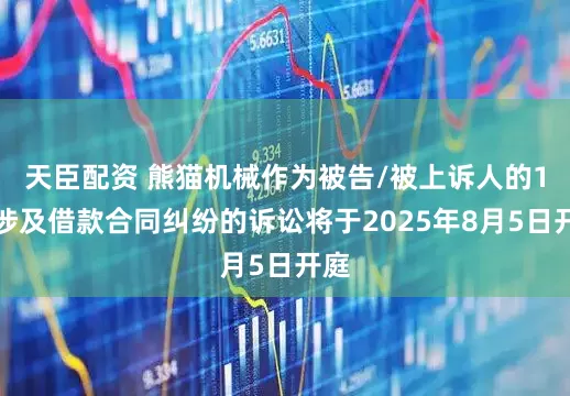 天臣配资 熊猫机械作为被告/被上诉人的1起涉及借款合同纠纷的诉讼将于2025年8月5日开庭